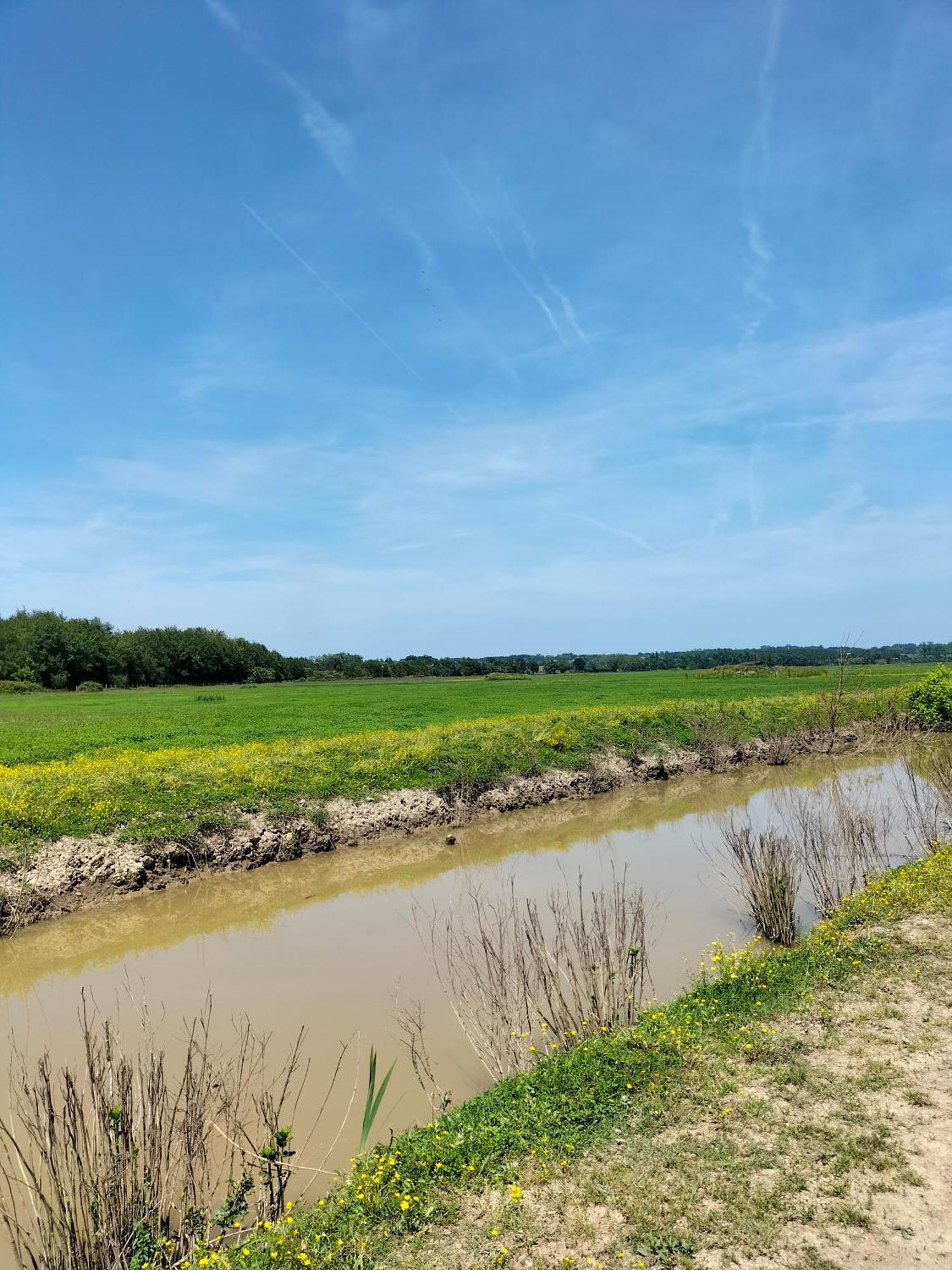 Studio Proche Des Thermes, Des Barthes, Des Plages Et De Dax ! Saubusse Bagian luar foto